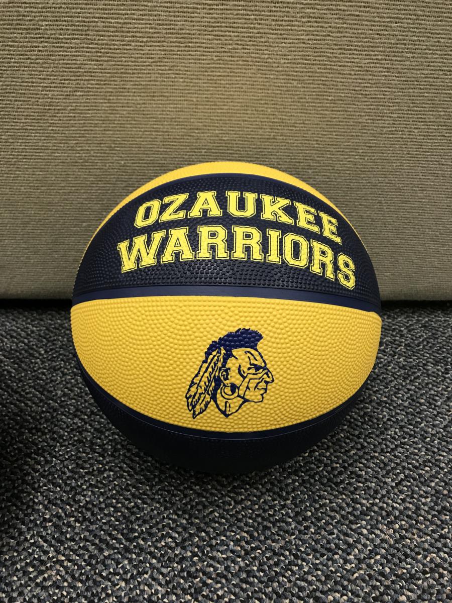 Warrior Basketballs for Sale